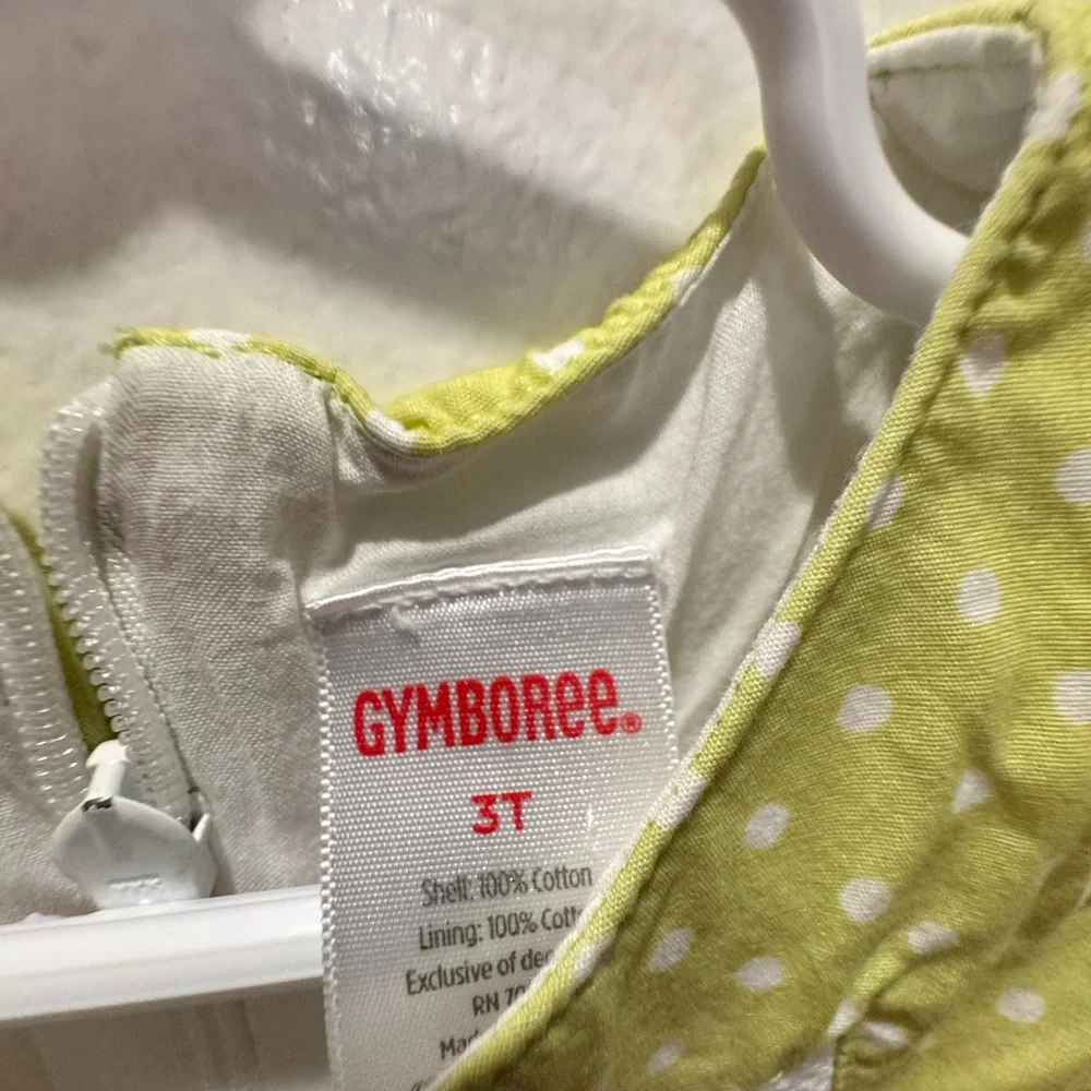 Gymboree charming dress
